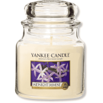 YANKEE CLASSIC SMALL JAR MIDNIGHT JASMINE CANDLE