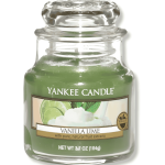 YANKEE CLASSIC SMALL JAR VANILLA LIME CANDLE